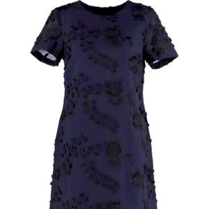 Banana Republic Shift Dress Size 0